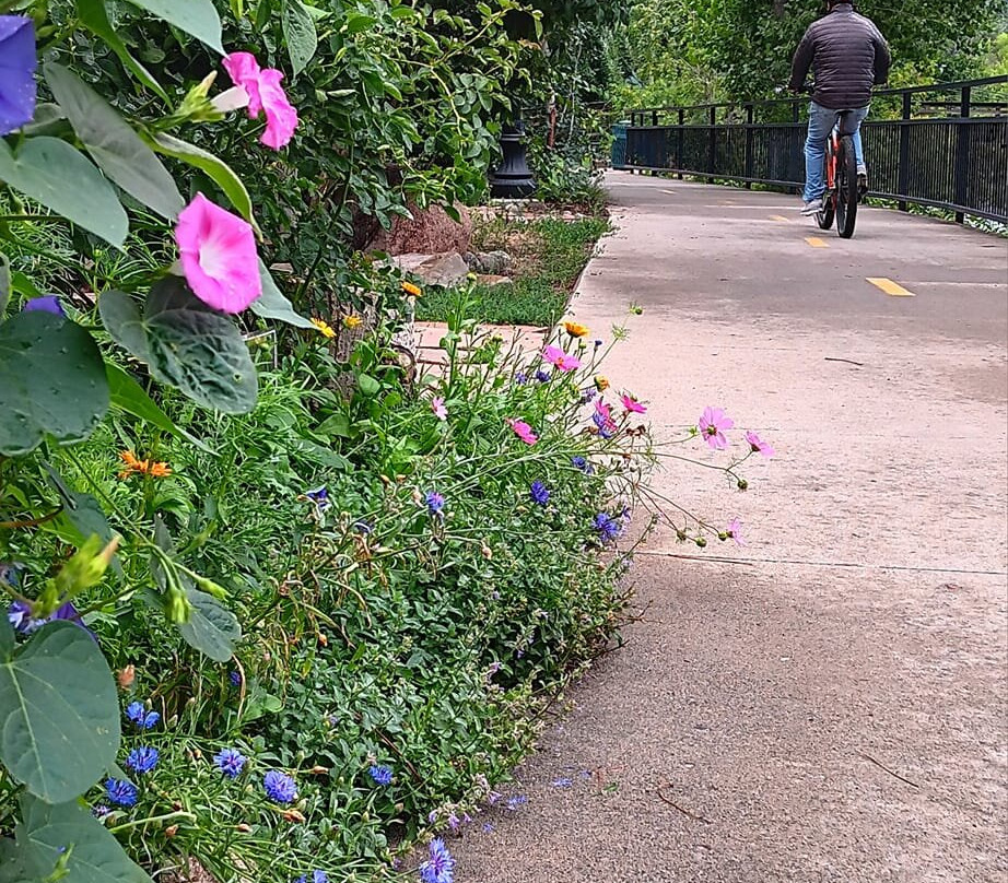 White Rabbit Books and Curiosities-杜兰戈必去景点