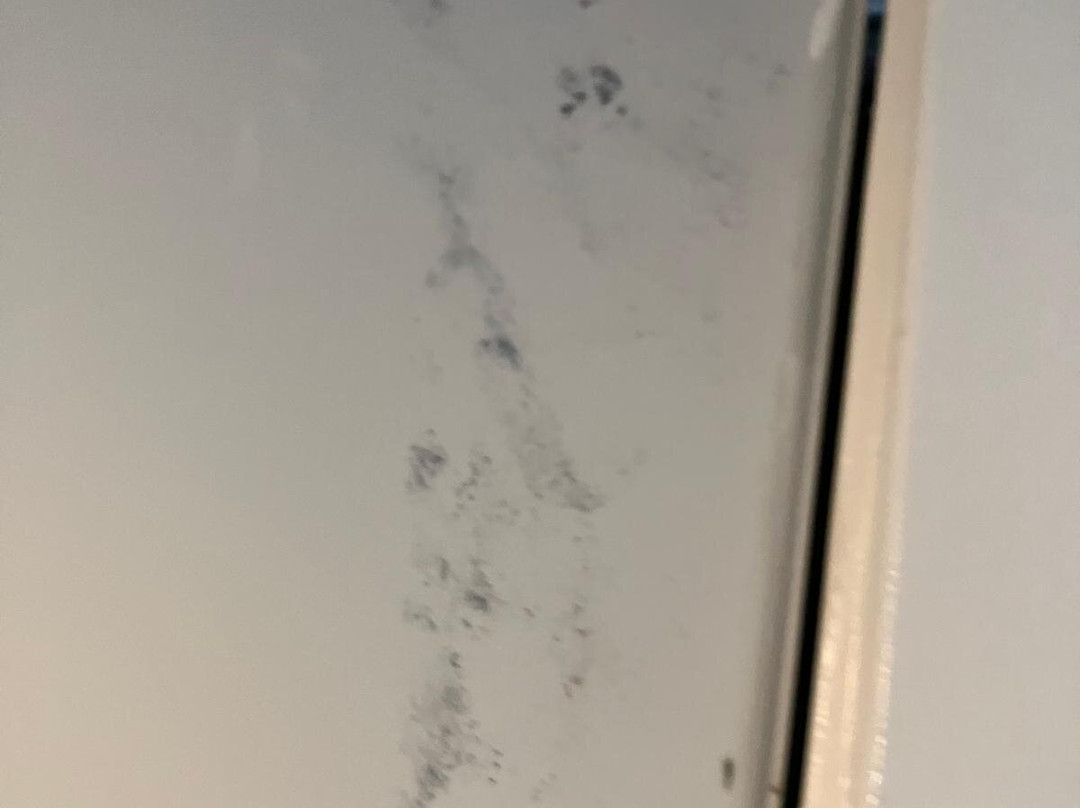 Ledges By The Bay主图