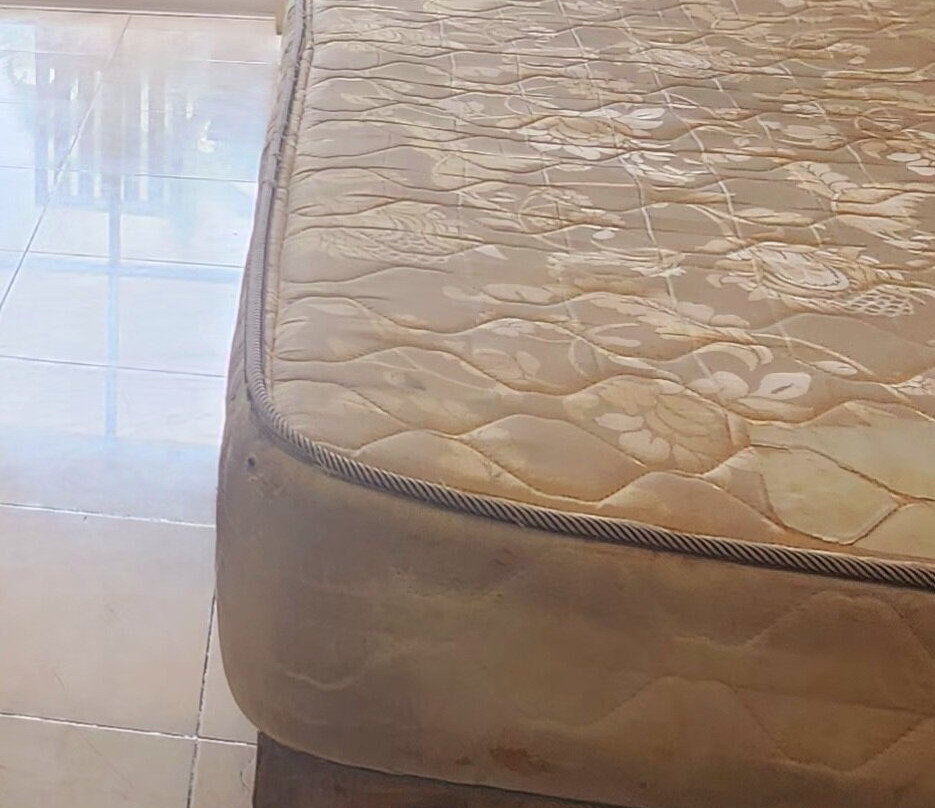 Marien Puerto Plata主图