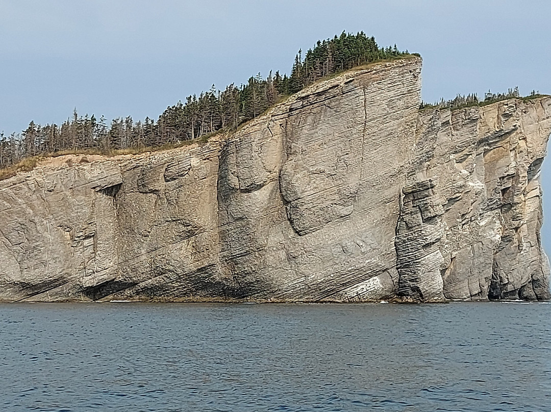 Whale-Watching Cruise in Forillon National Park景点图片
