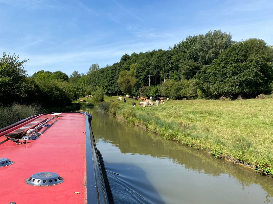 Twyford Wharf Narrow Boats景点图片