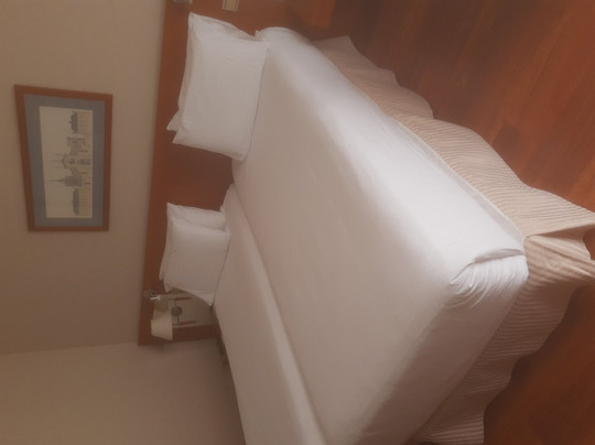 圣拉萨罗欧洲之星酒店主图