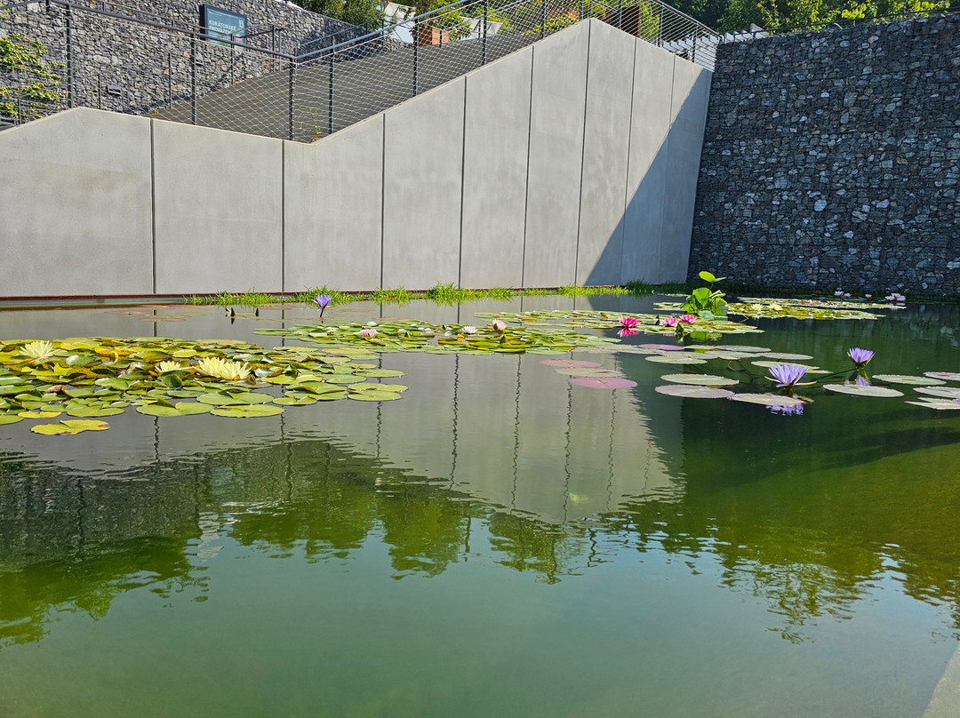 Botanicka Zahrada景点图片