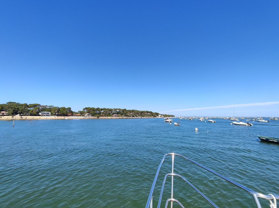 Île aux Oiseaux景点图片