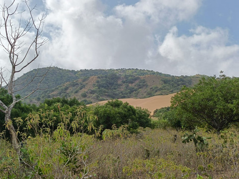 Guajira Tours-Riohacha必去景点