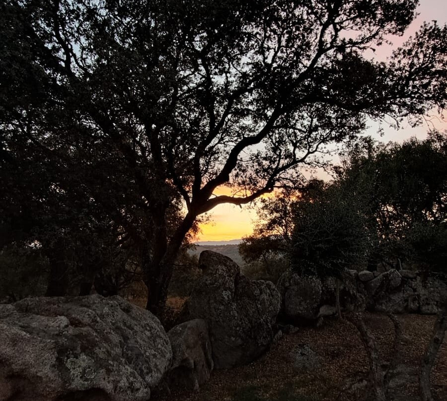 Azienda Agrituristica Chicchiritanos主图