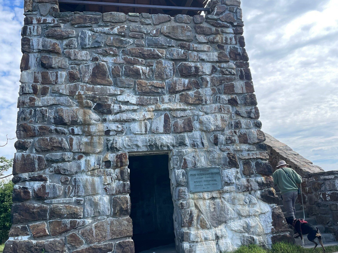 Wayah Bald Lookout Tower景点图片