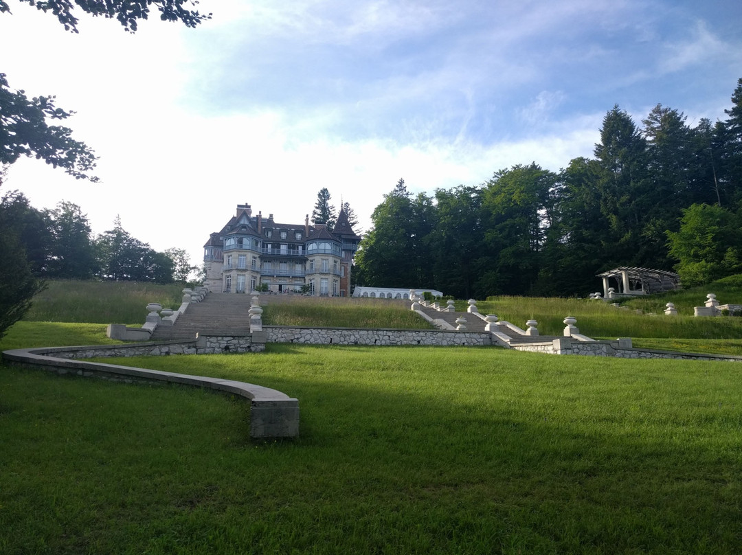 Château Des Avenières主图