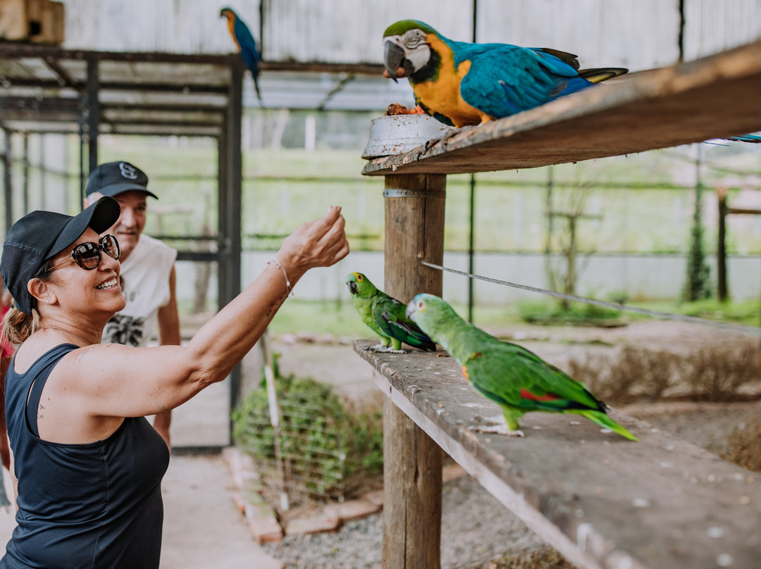 Piazito Park Hotel主图