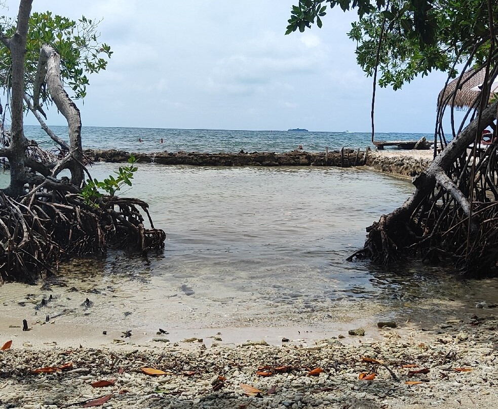 BackPackers-卡塔赫纳必去景点