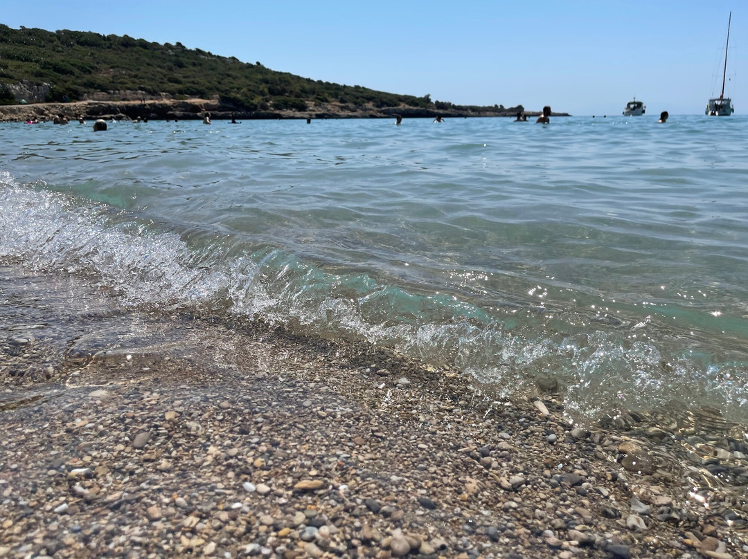 Altınkoy Plaj景点图片