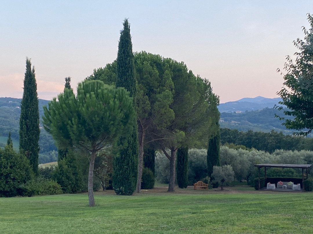 Tenuta Di Canonica主图