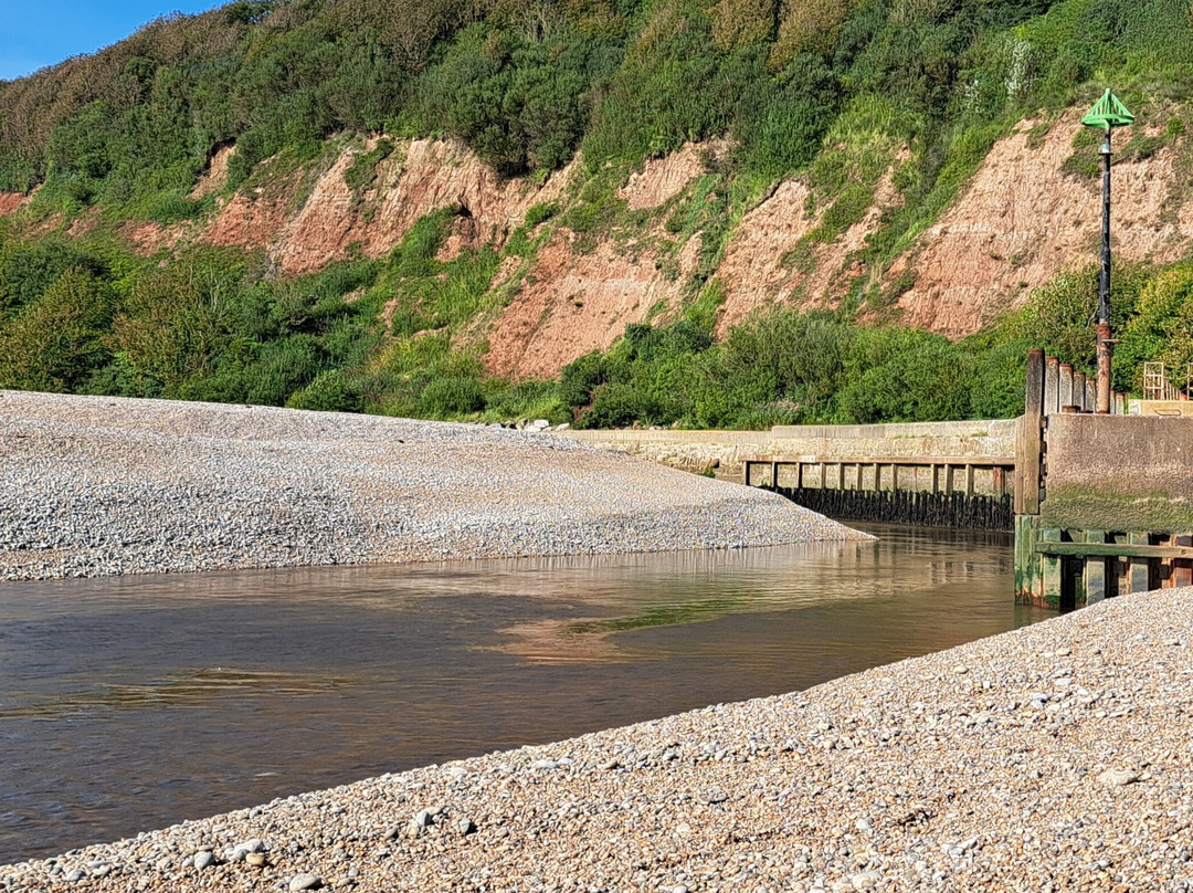 Axmouth Beach景点图片