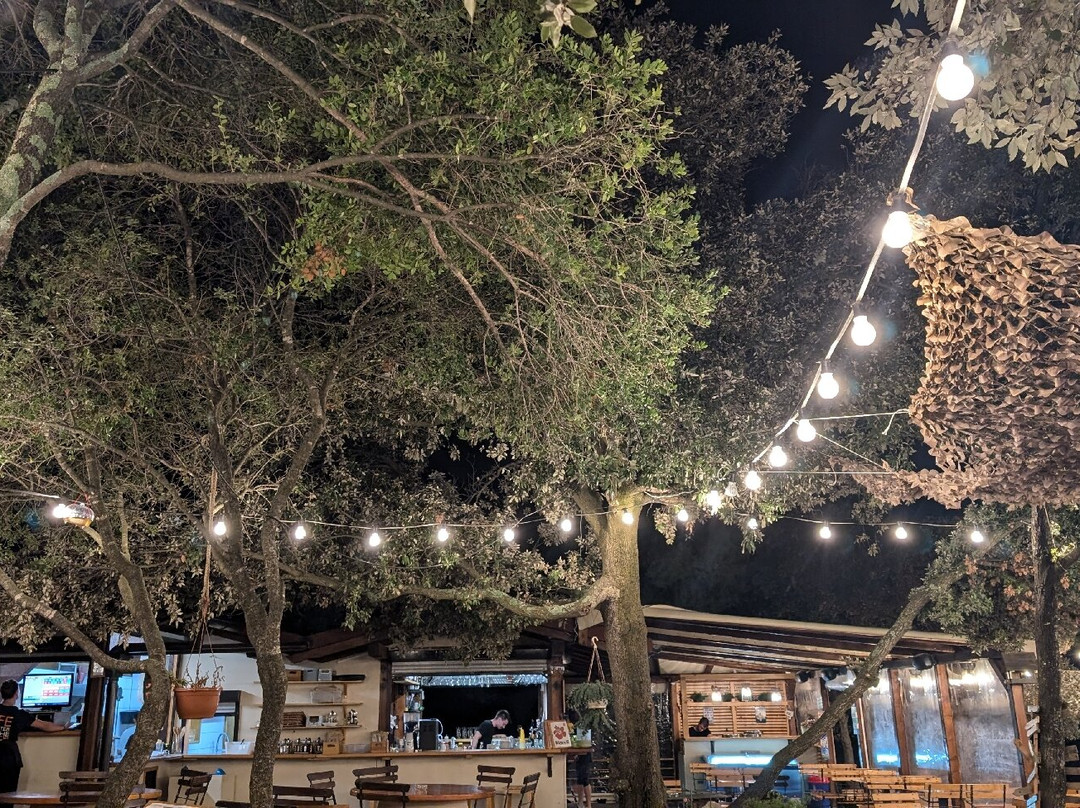 Beach Bar Mocca景点图片