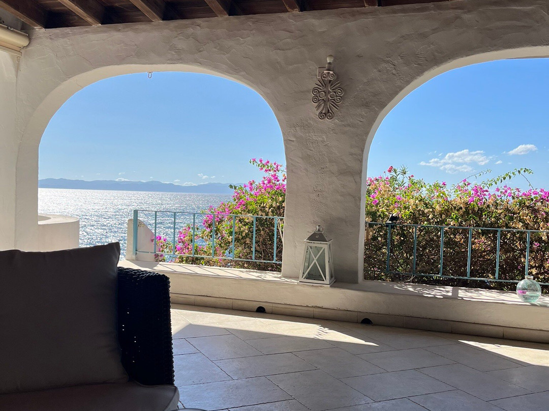 Stella Turchese主图