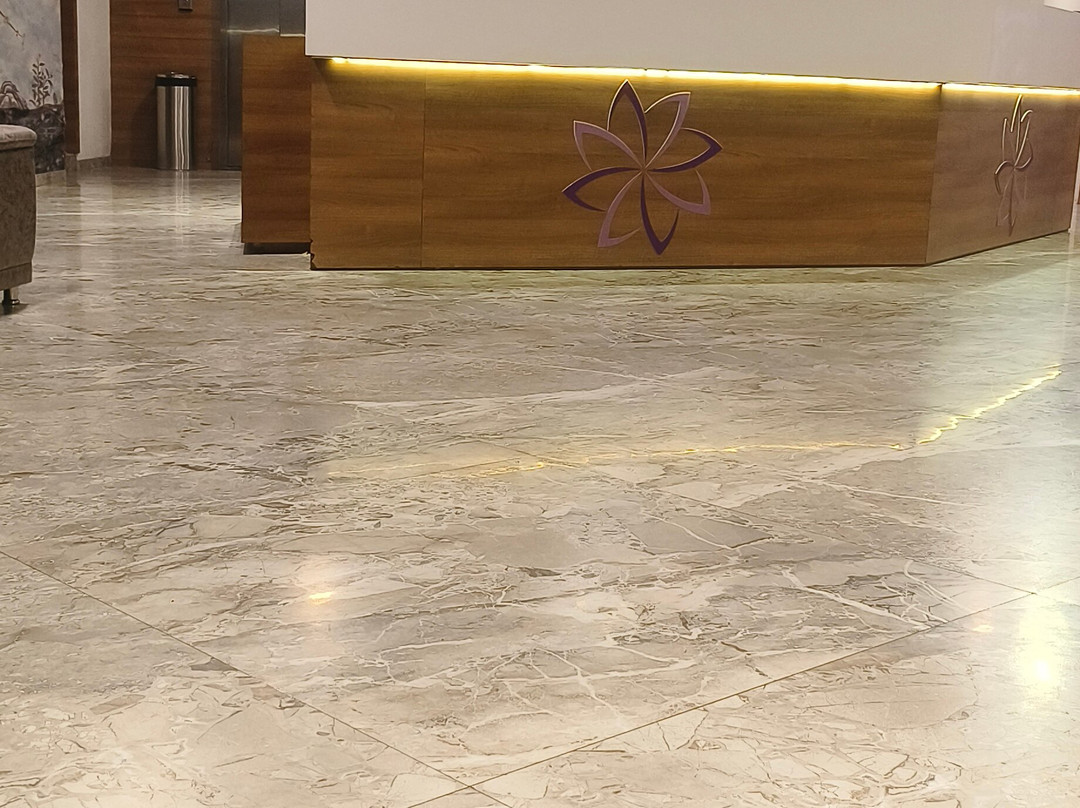 VITS The Somnath Gateway主图