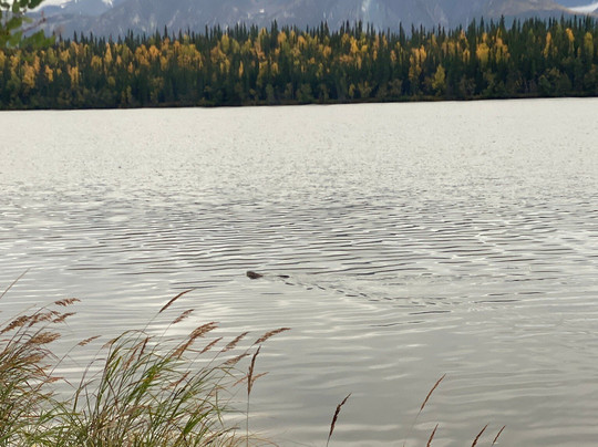 Wrangell-St Elias National Park