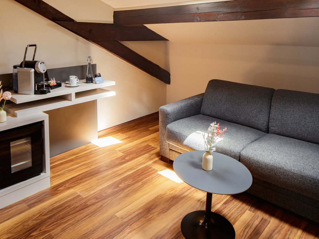 Albergo Mirador Ascona主图