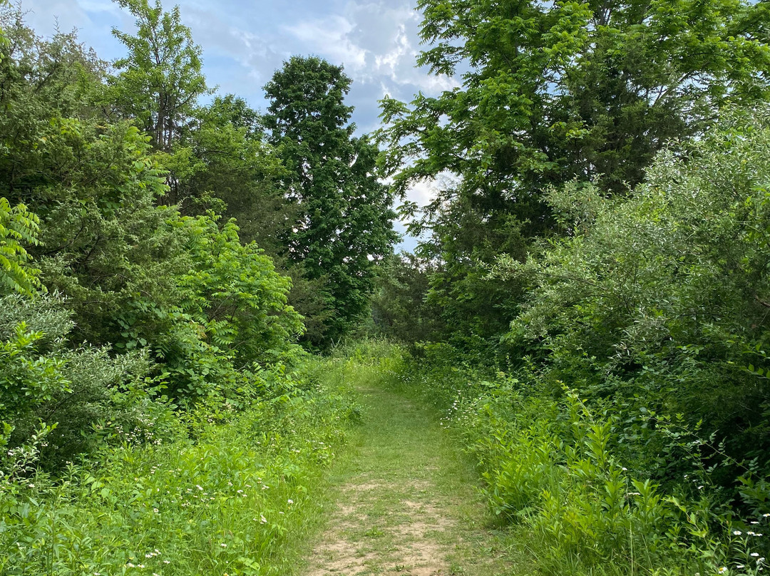 Possum Creek MetroPark-代顿必去景点