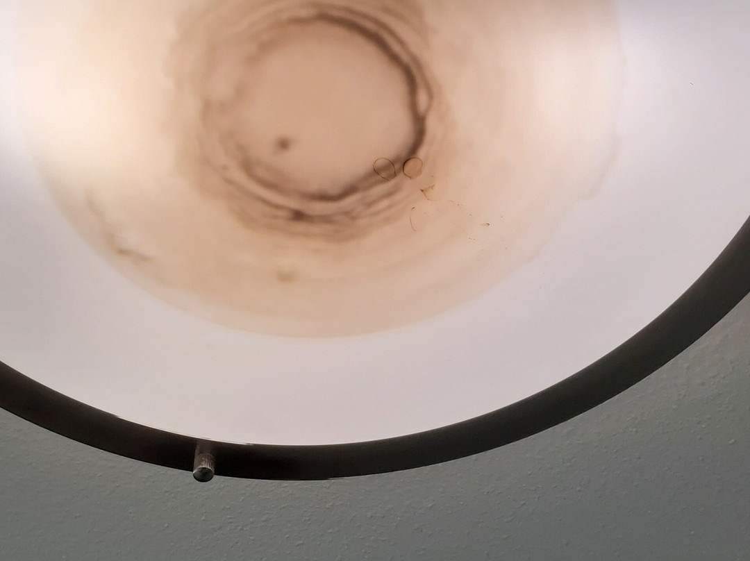 Best Western Portland West Beaverton主图