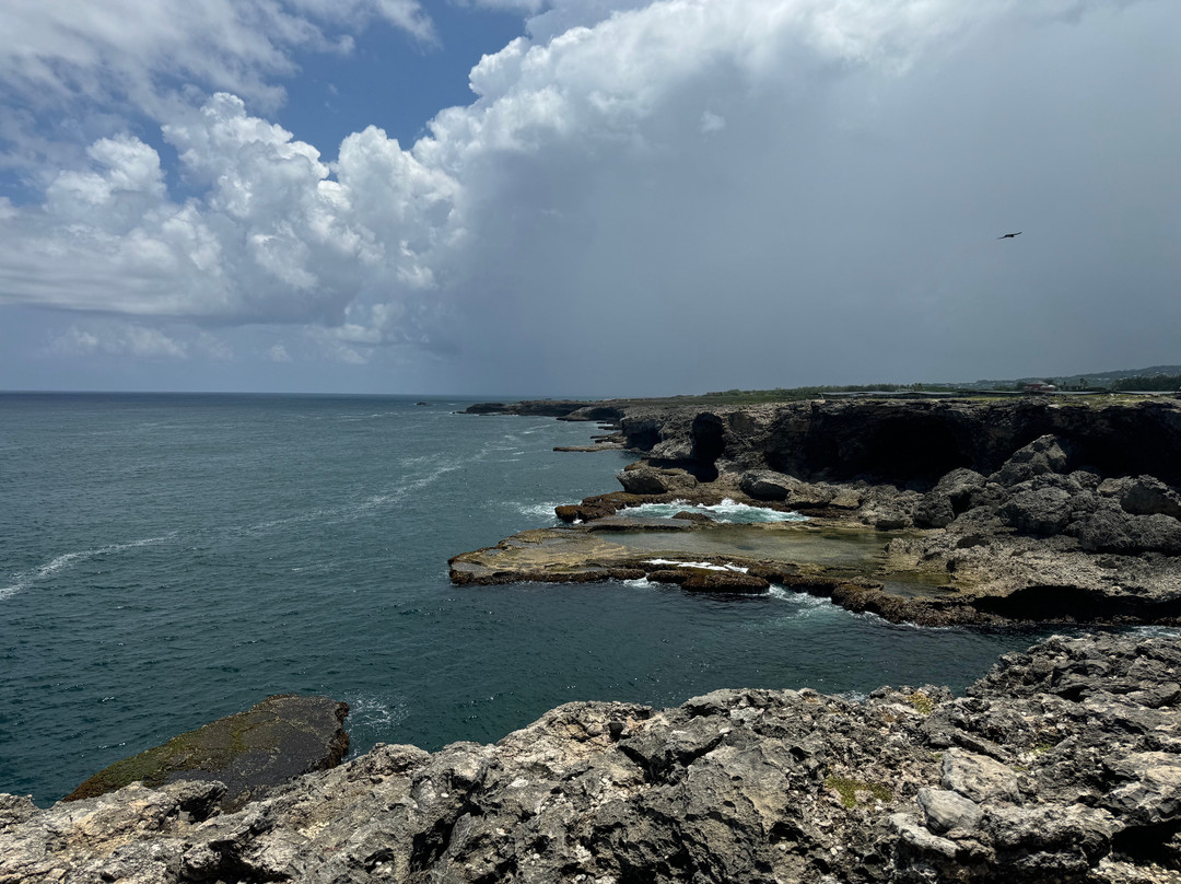 Terrvette Tours & Taxi Service-Maynards必去景点