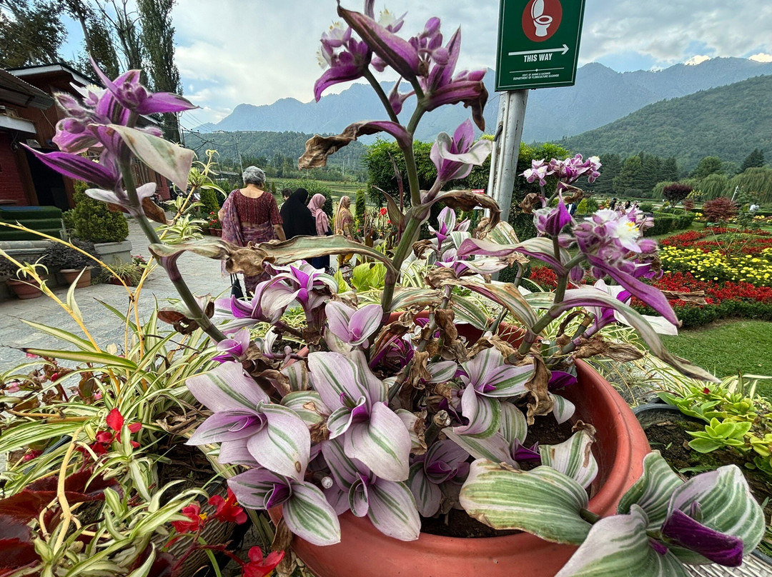 Jawaharlal Nehru Memorial Botanical Gardens-斯利那加必去景点