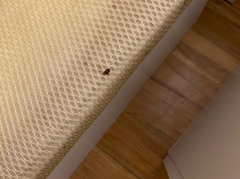 Touro酒店住宿-Santaia en Casal de Calma