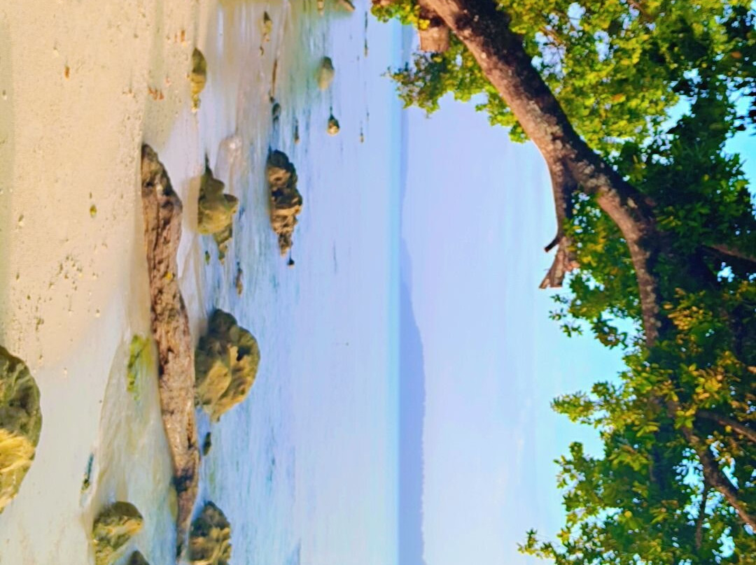 Fort Holidays Andamans-布莱尔港必去景点