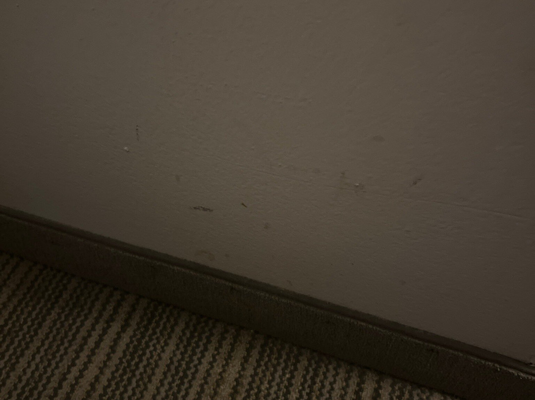 Country Inn & Suites by Radisson, Lumberton, NC主图