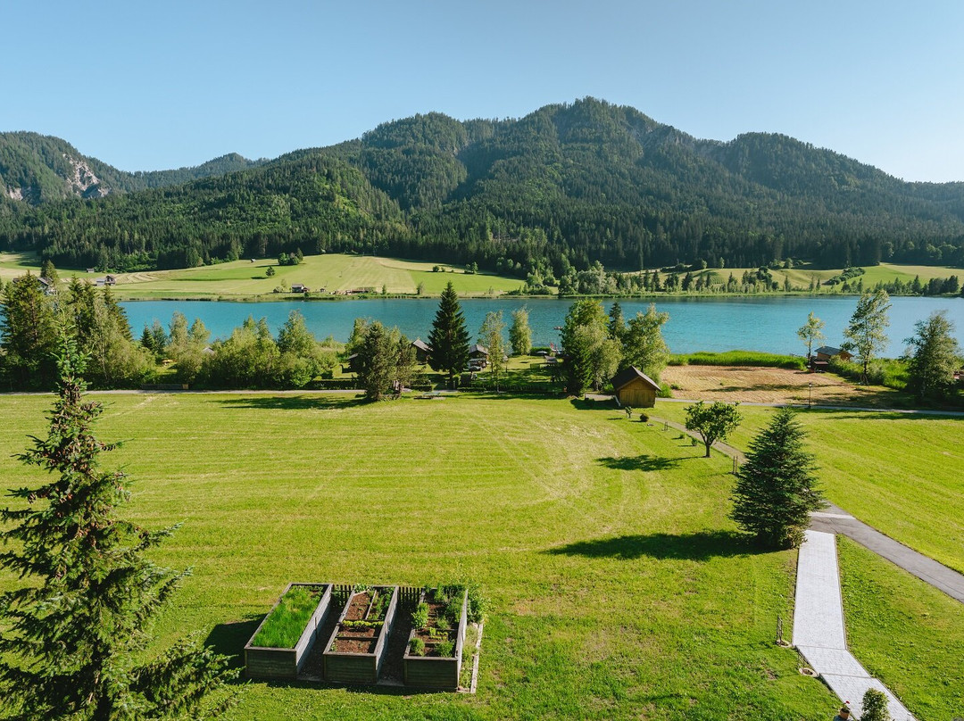 Hotel Wiesenhof - direkt am See主图