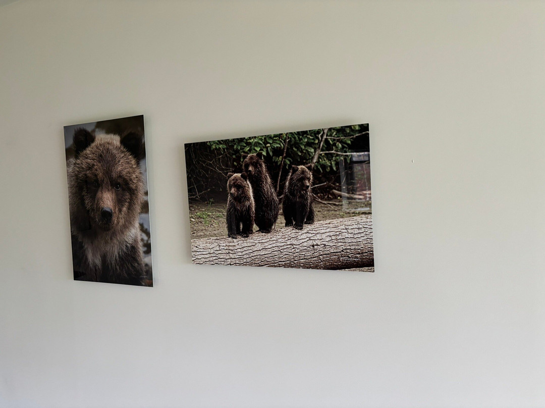 Karen Cooper Gallery-温哥华必去景点