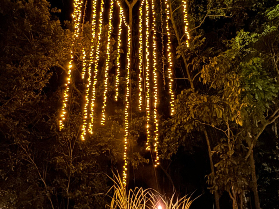 Flames of the Forest-道格拉斯港必去景点