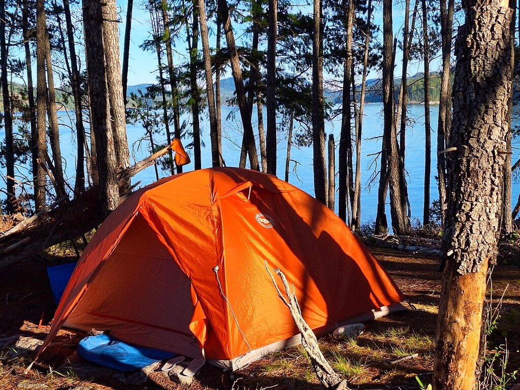 Coast Mountain Expeditions-Surge Narrows必去景点