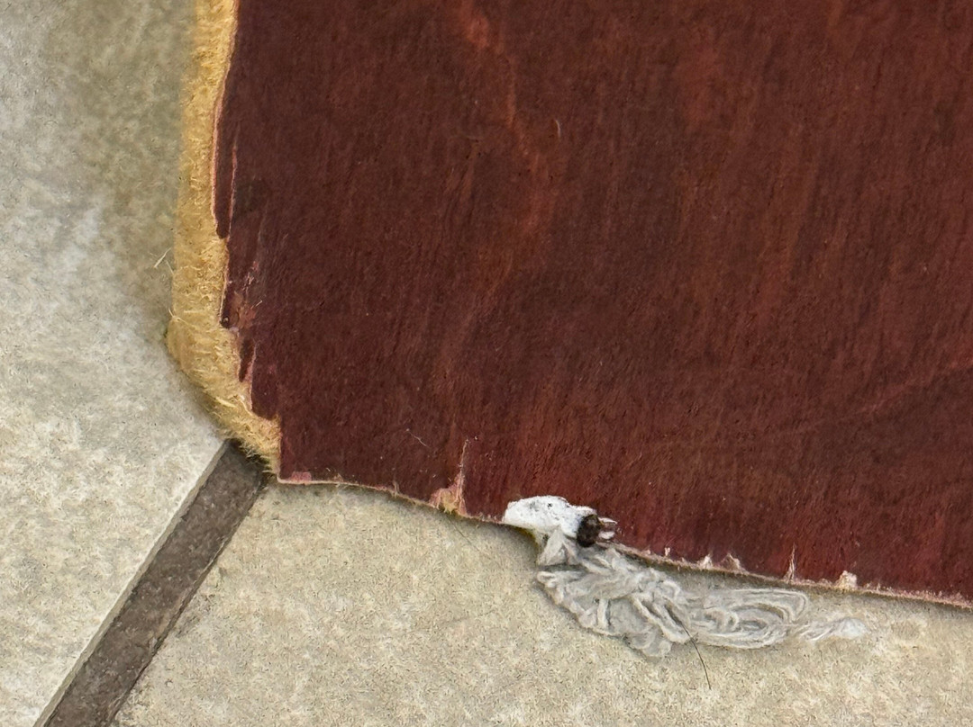 Holiday Inn Express & Suites Texarkana East by IHG主图