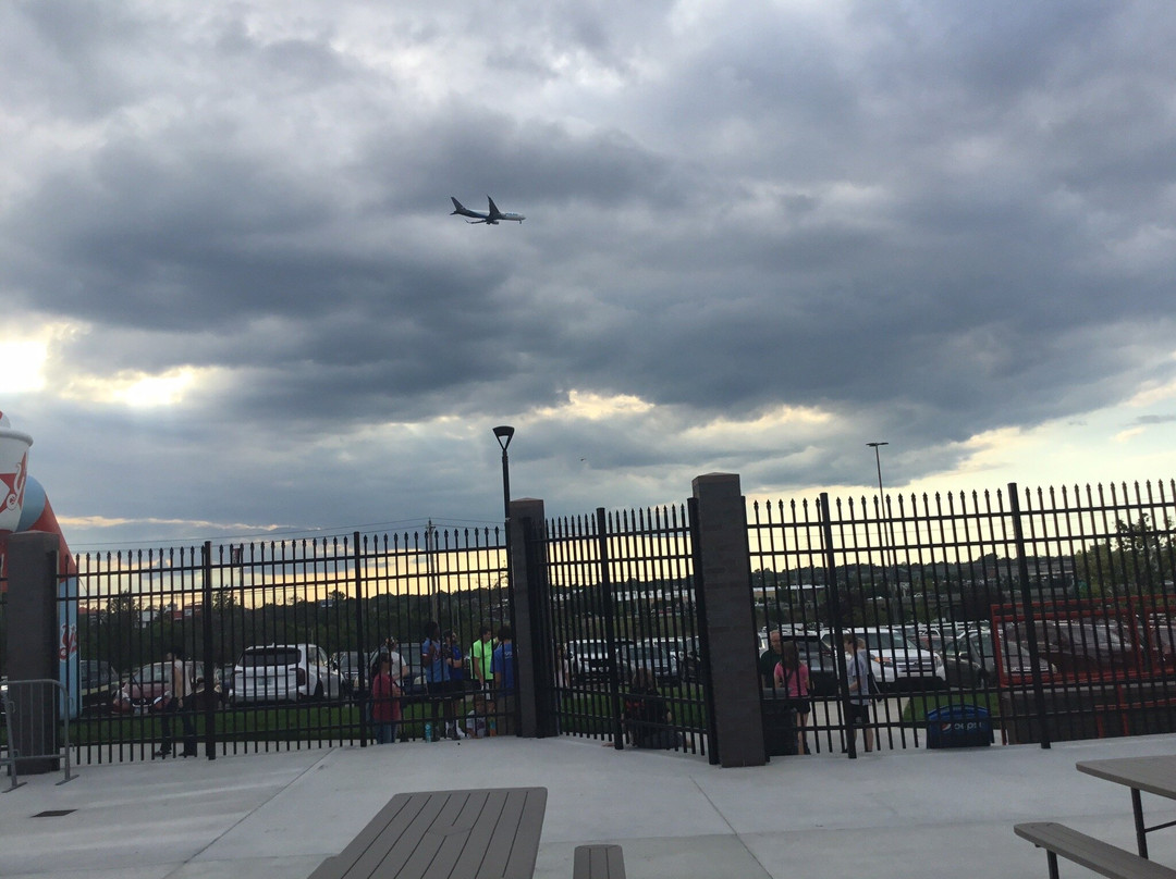 Florence Freedom-佛罗伦萨必去景点