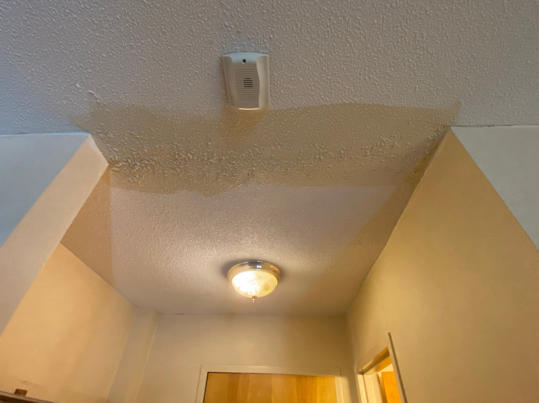 Quality Inn Shelburne - Burlington主图