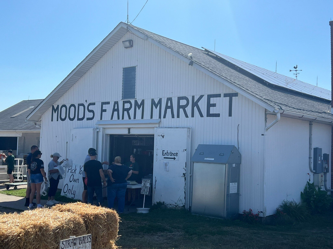 Mood's Farm Market景点图片