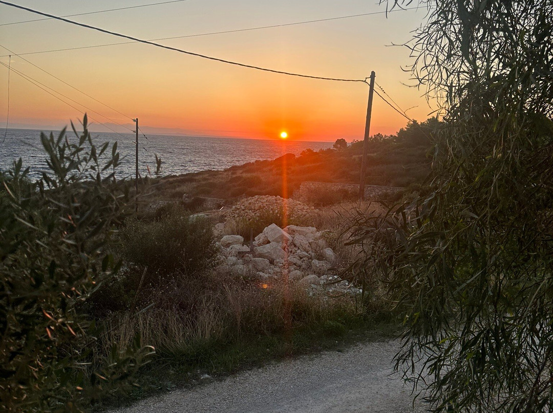 The Peligoni Club主图