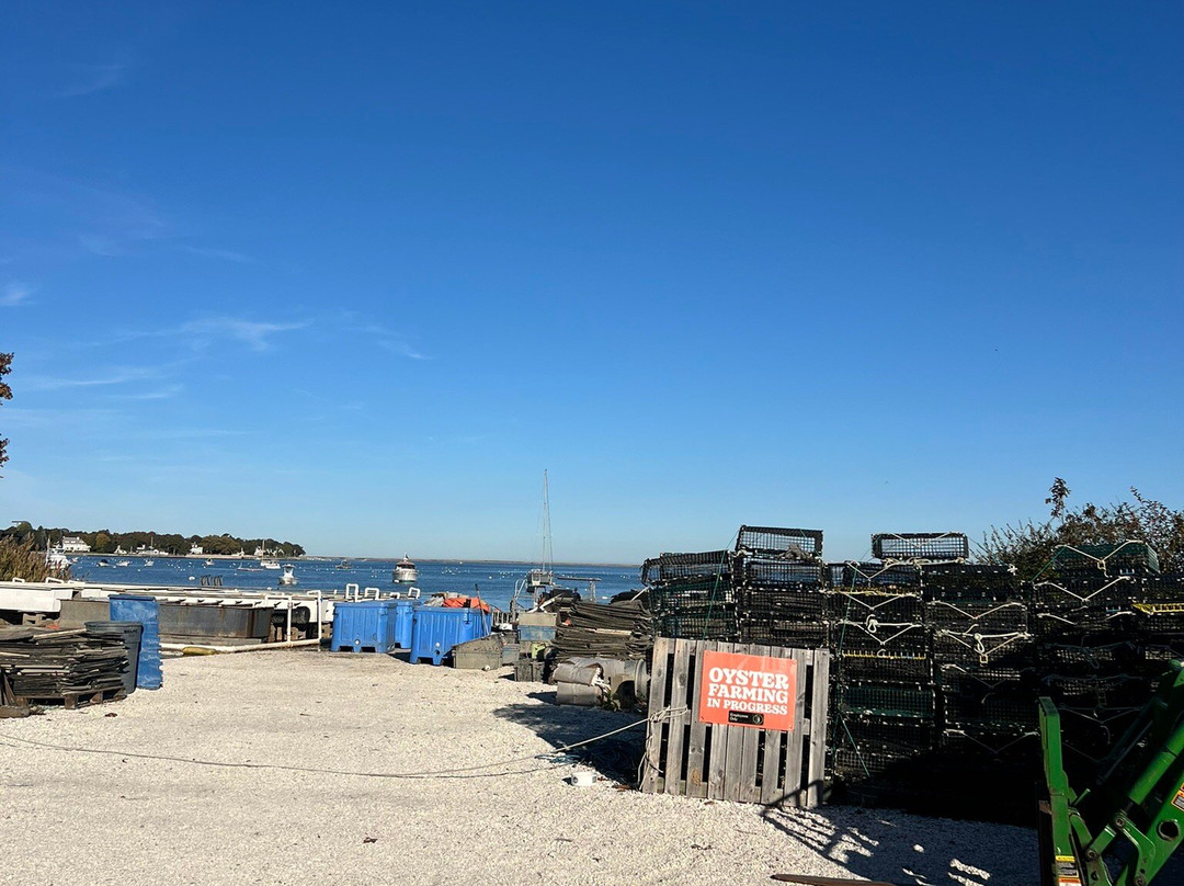Island Creek Oyster Farm And Raw Bar景点图片
