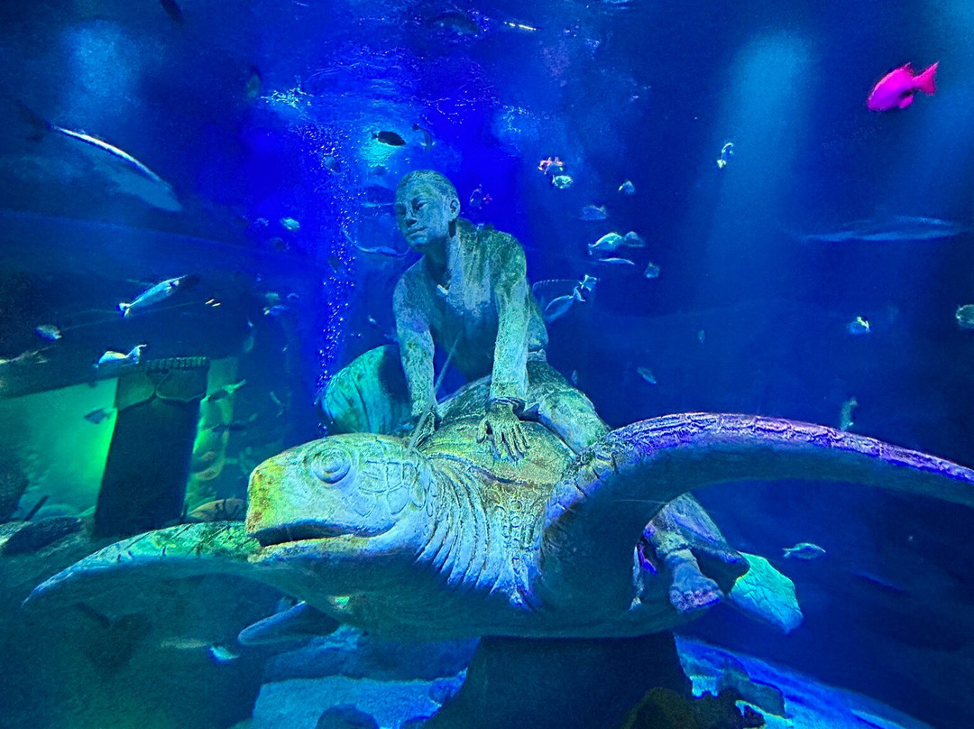 SEA LIFE Nagoya-名古屋市必去景点