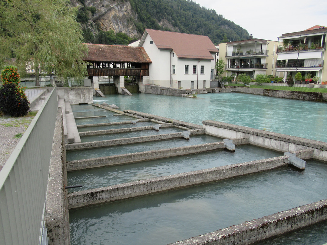 Interlaken Tourismus-因特拉肯必去景点