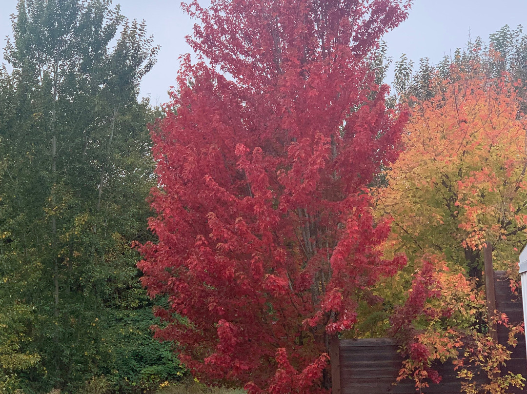 Smiley's Red Barn-胡德里弗必去景点