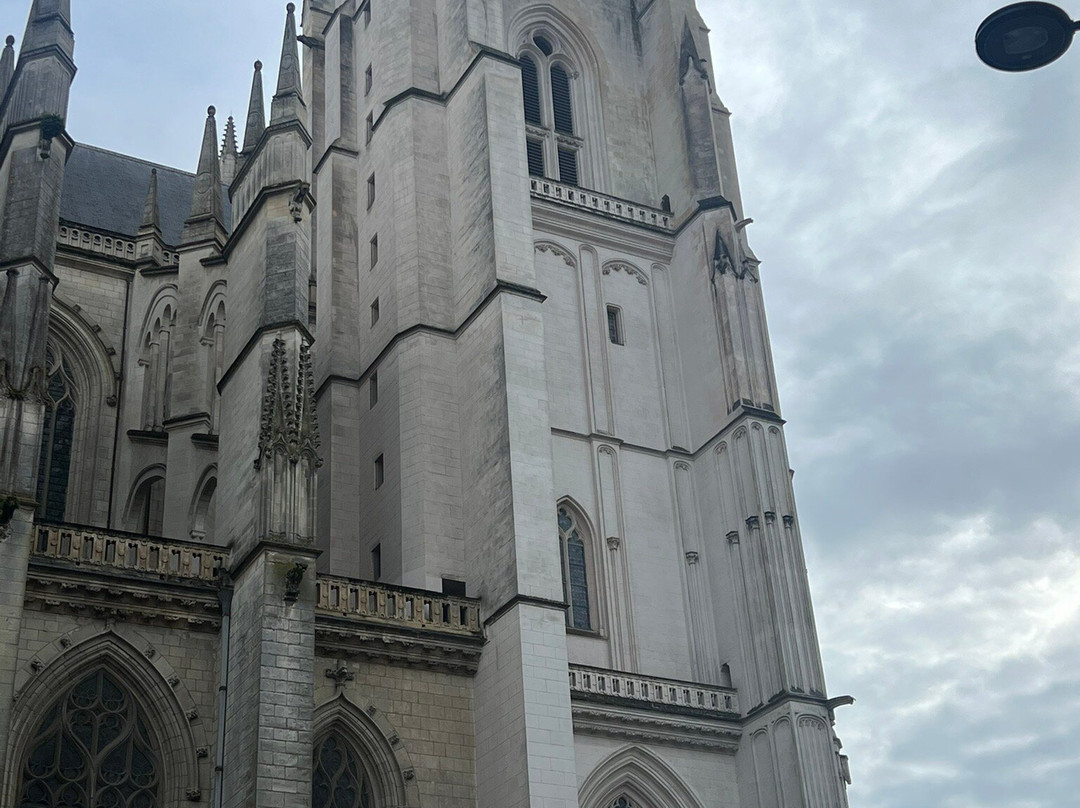 Basilique Saint Nicolas景点图片