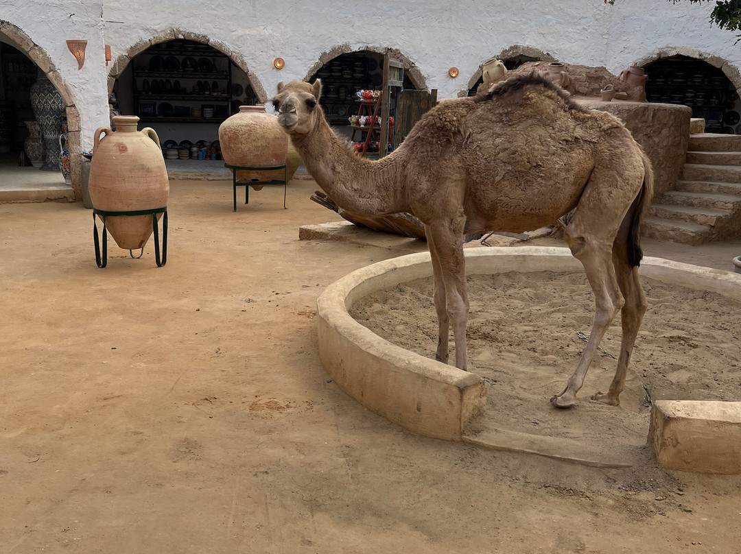 Cave of Ali Berbere-Guellala必去景点