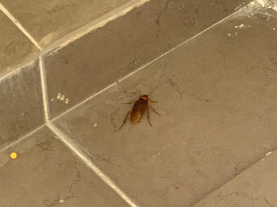 Nova Highlands Hotel主图