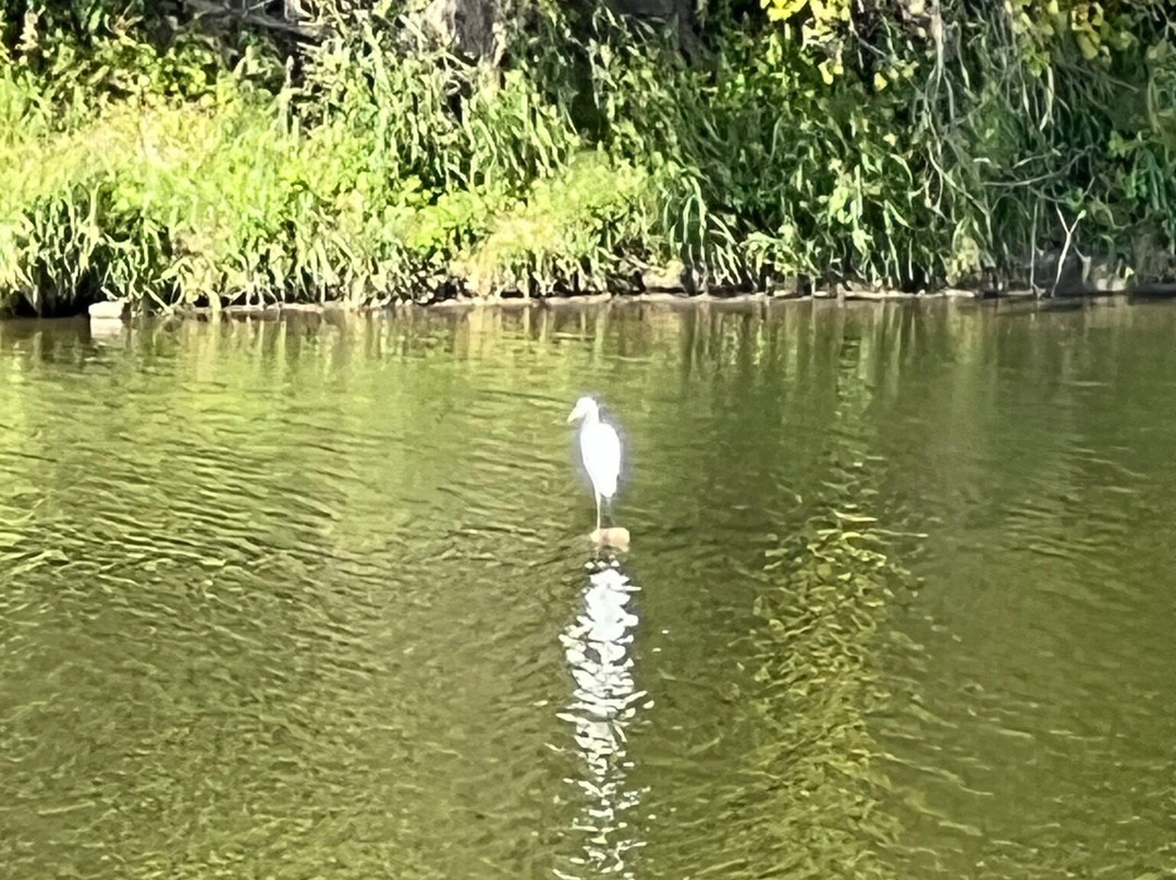 Minnesota Riverfront Park-Burnsville必去景点