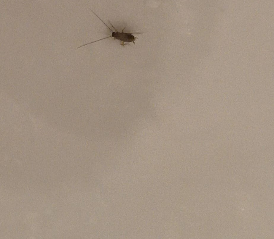 Iberostar Selection Kantaoui Bay主图