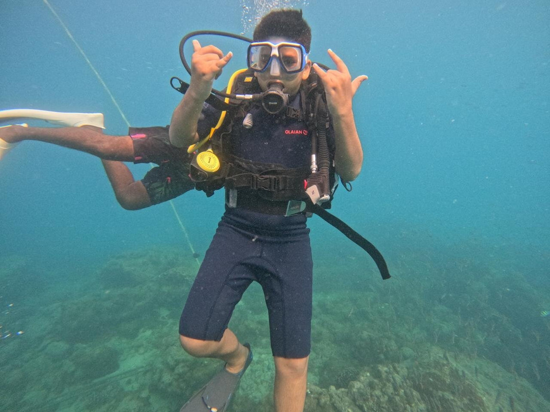 Dive Tribe景点图片