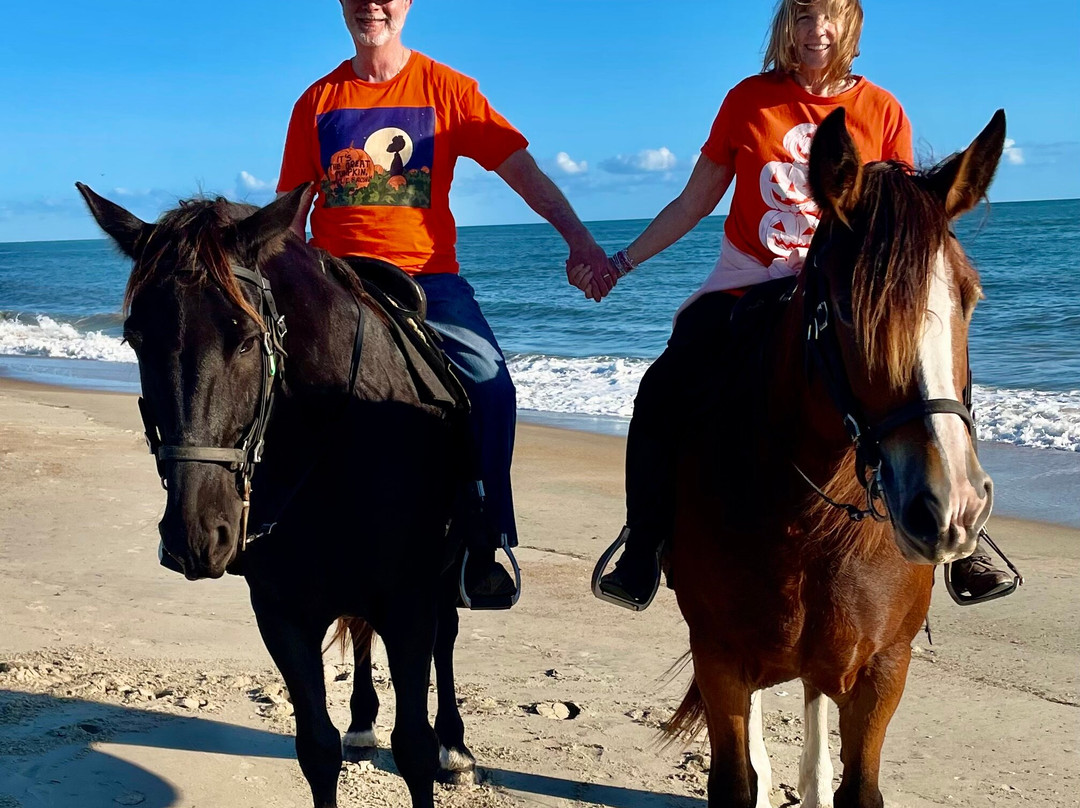 Equine Adventures景点图片