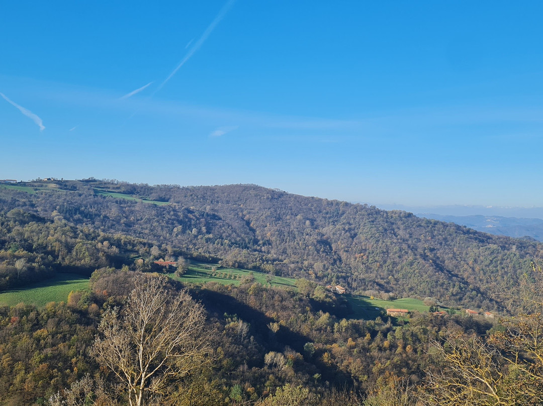 B&b Traversa Wilma